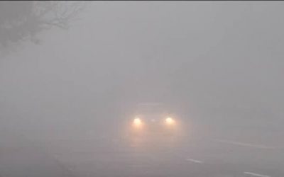 Weather Forecast: Mist