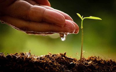 The Beginning of Life