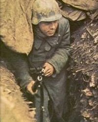 Emerging from the Bunker after Covid_19