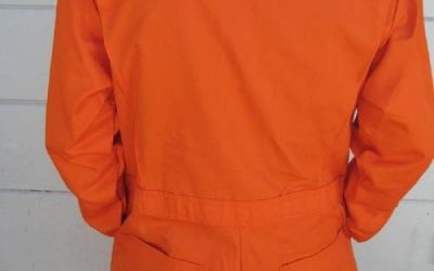 Your Orange Jumpsuit