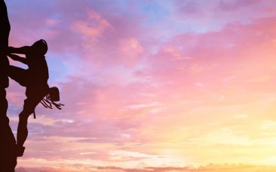 Success in the Rising Sun