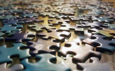 Pieces of the Puzzle