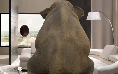 The elephant in the room