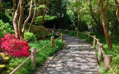 Is success fulfilment?