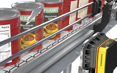 Breaking Free from the Conveyor Belt: Embracing Growth Beyond the Box