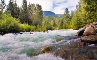 Preparing your journey