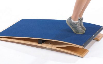 The Springboard of Life