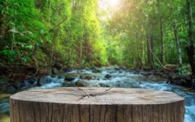 Willing Able and Allowed