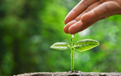 The Power of Positive Impact