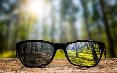 See Life Through Better Lenses